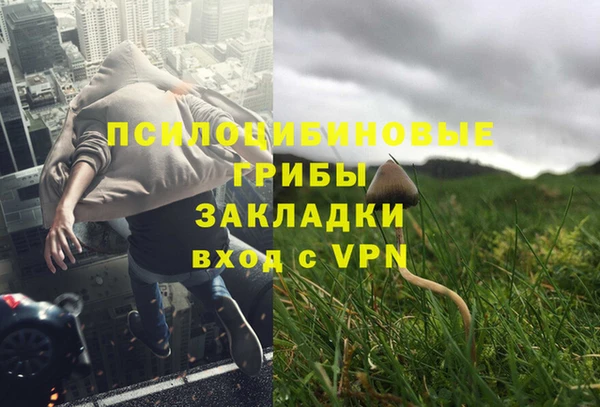 2c-b Липки