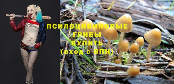 дживик Лихославль